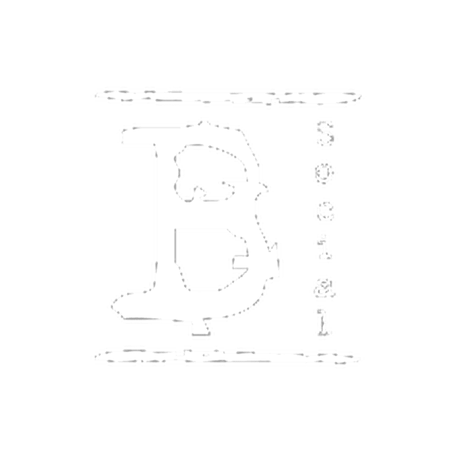 Bullies Social